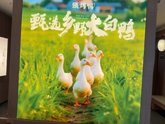 -张烤鸭·川菜·非遗冒烤鸭(青石桥店)