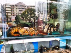 -大丰收海鲜酒楼·专业餐饮30年(连云港老字号店)