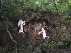 -上海佘山国家森林公园西佘山园