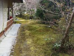 -西芳寺(苔寺)