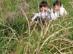 -南汇嘴观海公园