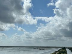 -盐城丹顶鹤湿地生态旅游区