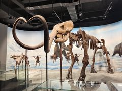 -辽宁古生物博物馆