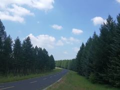 -塞罕坝国家级自然保护区