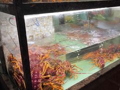 -甄御•海鲜新青岛菜(麦岛店)