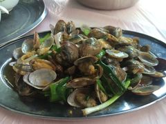 葱炒芒果螺-板桥海鲜广场(文明东店)