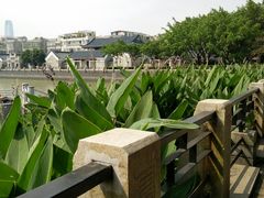 -黄埔古港