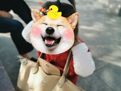 -浙江大学医学院附属邵逸夫医院(钱塘院区)