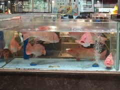 -阿伟海鲜楼·福建菜(延寿店)