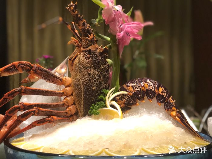 半岛翡丽海鲜自助餐厅-图片-福州美食-大众点评网