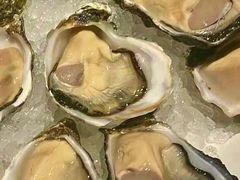 进口高品质生蚝为特色-Oyster Talks 四度蚝法餐厅