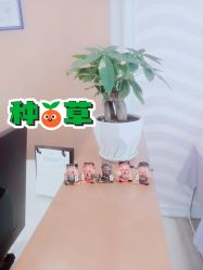 -SILKTONE诗丽堂美容