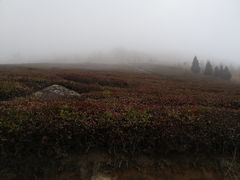 -东白山
