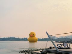 -深圳人才公园