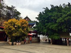 -神光山国家森林公园