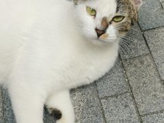 -Wagas沃歌斯(尚街店)