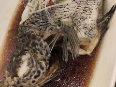 -碧丽宫大酒店(召稼楼店)