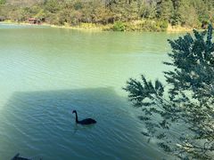 -广州白江湖森林公园