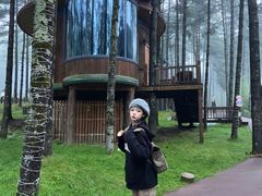 -洛阳白云山景区