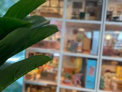 -猫的天空之城概念书店(北戴河蔚蓝海岸店)