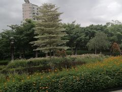 -映月湖公园