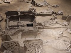 -洛阳周王城天子驾六博物馆