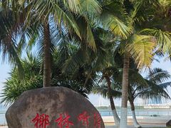 -万绿园