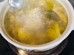 泉水鲜鸡汤-先机泉水鸡汤(南山老君洞店)