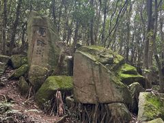 -普陀山风景区-佛顶山