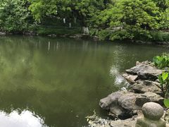 -瀛洲公园