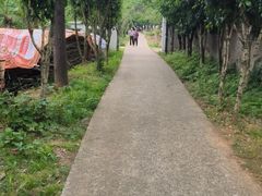 -青龙山国家森林公园