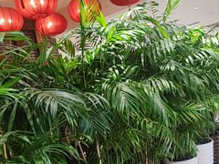 -东北大院·东北菜(三台子店)