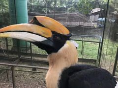 -吉隆坡雀鸟公园