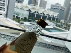 -新加坡文华东方酒店