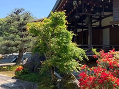 -西芳寺(苔寺)