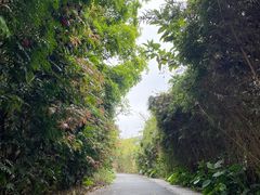 -华侨城湿地公园