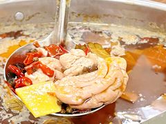 -肥婆麻辣火锅.顺德首创药材麻辣火锅(容桂店)
