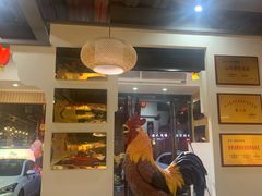 -蒙阴光棍鸡(新石中路店)