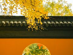 -西园戒幢律寺