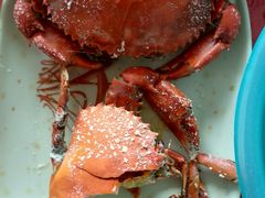 -蚝乡农庄(铁涌赤岸店)