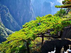 -黄山风景区