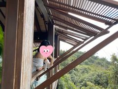 -三亚亚龙湾人间天堂鸟巢度假村
