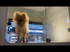 -乐宠宠物店(世纪金源店)