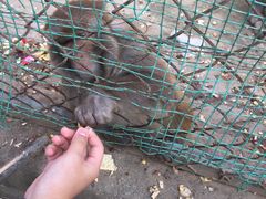 -王顺山国家森林公园