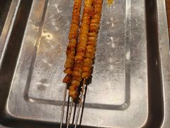 -福苗小骆驼烧烤(莲湖路店)