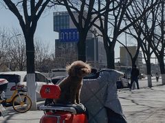 -BE YOLO必有乐&小红帽三明治