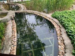 -活水公园