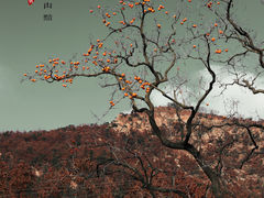 -里口山风景名胜区