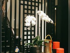 大堂-Le Siècle.百年西餐厅(颐和公馆店)