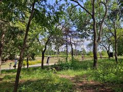 -北京西山国家森林公园